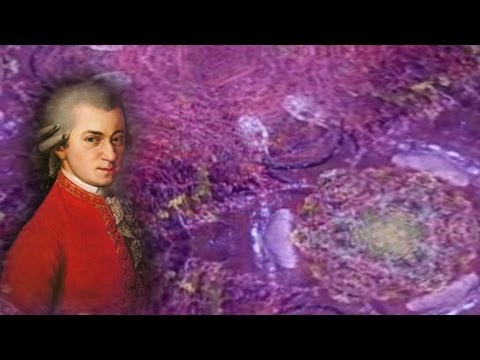 download lagu mp3 mp4 Mozart Chill Out 1756 2006, download mp3 Mozart Chill Out 1756 2006 free download mp3, download mp3 Mozart Chill Out 1756 2006
