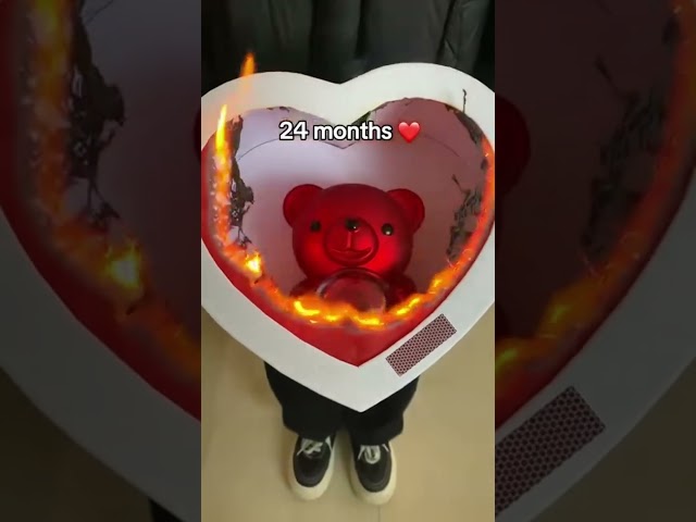 Vídeo relacionado con NEWUPZSI Rosa Eterna Real Preservada Navidad azules con Collar y Pendientes en una Caja de Regalo, Regalos románticos para Mujer para Día de San Valentín Aniversario Cumpleaños