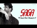 SAGA - What Do I Know? | Official Music Video