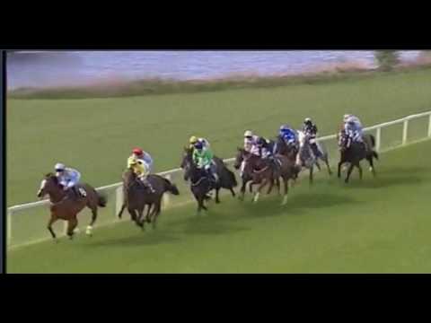 Maifalki Ripon 20 04 17