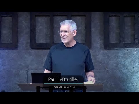 Ezekiel chapter 3:8-chapter 6 • Judgment against Idolatry