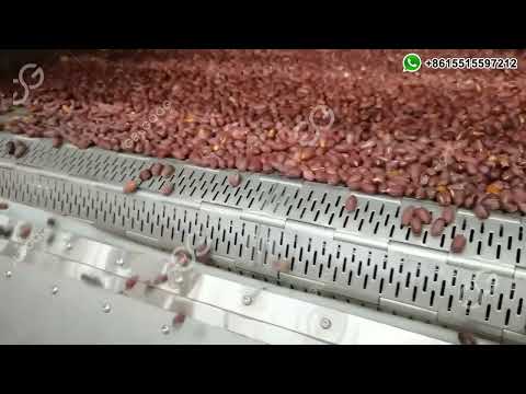 Roasted Peanut Processing Plant, Groundnut Roasting Line Price