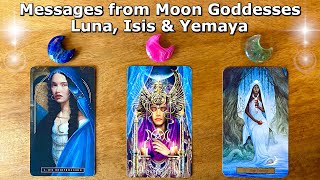 ✨🌙 Moon Goddesses Luna, Isis & Yemaya Have a Message for You ✨🌙 Timeless Pick a Card Reading ✨🌙