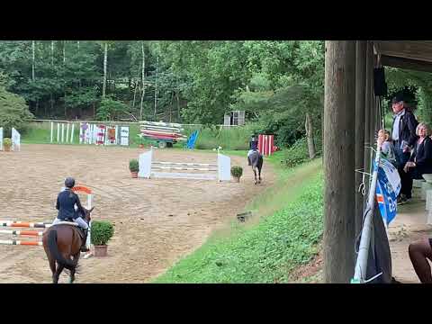 Carmina L (Cordess x Laomedon/Pageno) geb. 2016