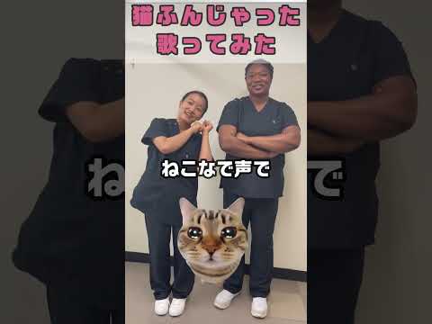 日本の唱歌/猫ふんじゃった #shorts