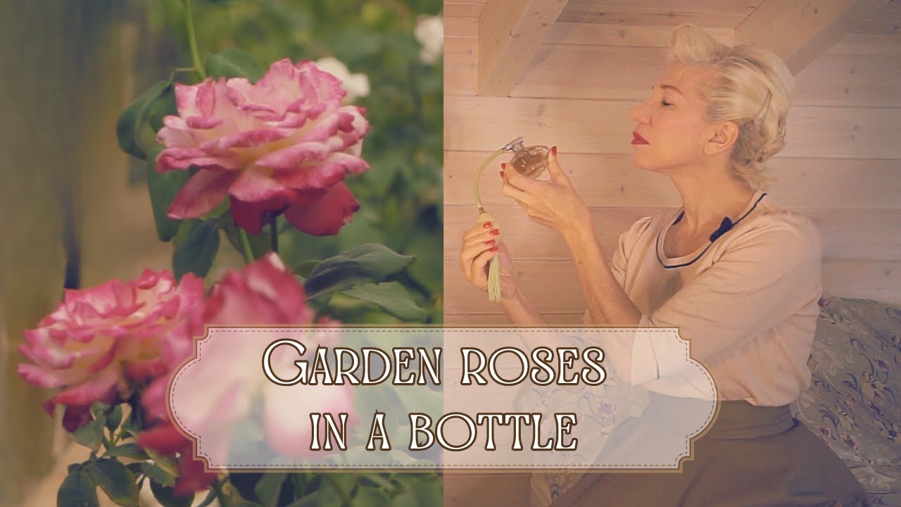 Easy Homemade Rosewater | A Cottagecore Beauty Ritual