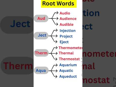 What is A Root Word? ✅ #learnenglish #english #rootword #vocabs #advancedenglish