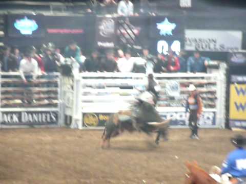 Kasey Hayes at Madison Square Garden