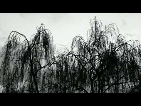 Kyorei (Fudaiji) 虚鈴 2.9 Hotchiku