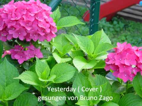 Yesterday (Cover ) gesungen von Bruno Zago