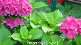 Yesterday (Cover ) gesungen von Bruno Zago