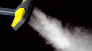 Que Es Bueno Para Matar Chinches - Como Matar Las Chinches De Cama