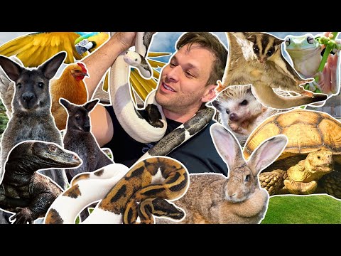Feeding 100+ Exotic Pets: My INSANE Daily Routine