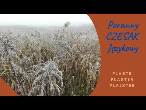 Poranny Czesak Językowy, 31 12 2020  PLASTER I PLAJSTER