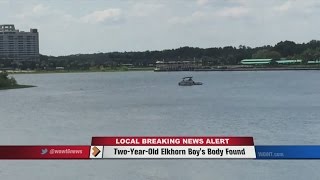 Alligator Attack at Disney