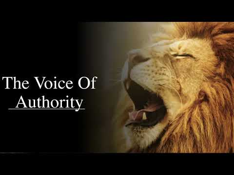 The Voice Of Authority