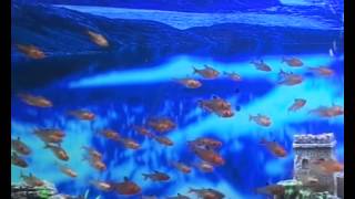 preview picture of video 'Aquarium Chennai's Plasma Aquarium, Designed by Mazhar +91-+9094959626'