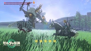 騎士スタイルで挑むライネル戦が最高に楽しい！【ゼルダの伝説 ティアーズ オブ ザ キングダム】