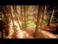Flowers Of The Forest Mike Oldfield