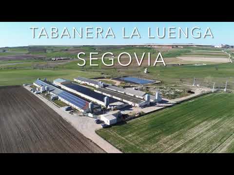 Instalación de autoconsumo en granja de cerdos. Granja Dimas. Tabanera la Luenga, Segovia