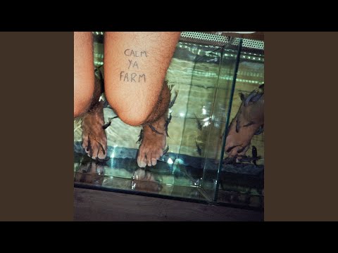 Common Sense Civilian - The Murlocs