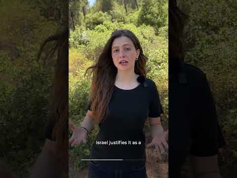 Why is Israel arming illegal settlers?