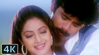 Download lagu Jaanam Meri Jaanam -Full Video Song HD । Mr Bechara । Sridevi & Nagarjun । Romantic Song mp3 Download lagu Jaanam Meri Jaanam -Full Video Song HD । Mr Bechara । Sridevi & Nagarjun । Romantic Song mp3