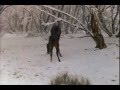 The Silver Stallion 1993 BodyCount