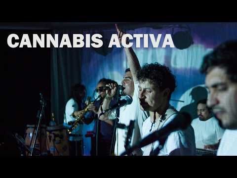 Jah Gan ft. Fakka & Kily Igor - Cannabis Activa (En Vivo) | Homenaje al Corte Ska