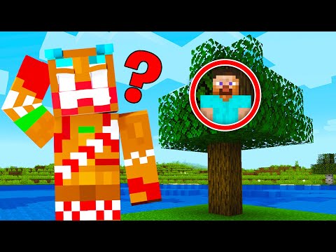 EPIC $10K Minecraft Hide & Seek with LazarBeam