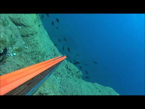 enas rofos ston skaro