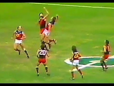 Essendon v Fitzroy Round 5