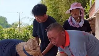Tan's family went to the mountains to collect rapes to make rapes oil  and the elderly were very en