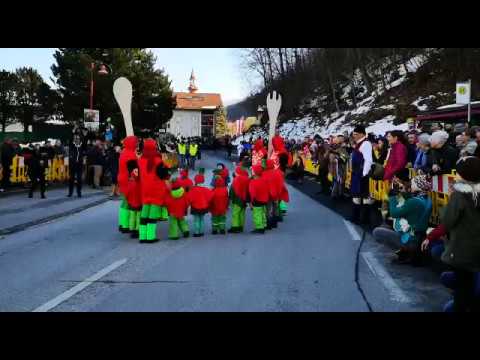 Waldknöpfe Faschingsumzug Völs 2019 - Tomatensalat!