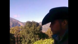 Nervios de acero - Los plebes del ramcho