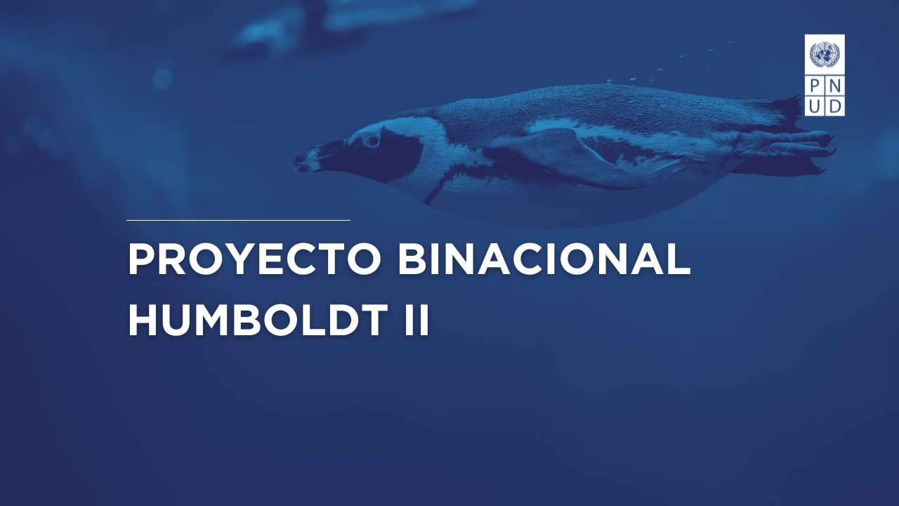 Las áreas marinas protegidas (AMP)