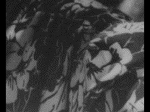 Besame Mucho by Mandragora Tango Orchestra