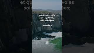 Proverbes 4:26 Louis Segond #labible #biblevision