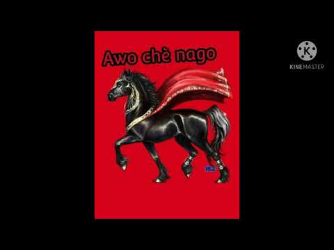 vin aprann kisa 21 nation vle di ak istwa kache