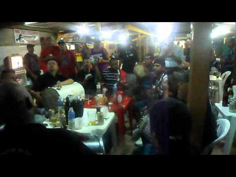 Partideiros de Perus  - Salgueiro é uma raiz