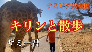 【アフリカ旅行④】ナミビア共和国、動物と触れあえるホテルと、マッサージやフェイシャルが付いてる高級ホテルに泊まりました