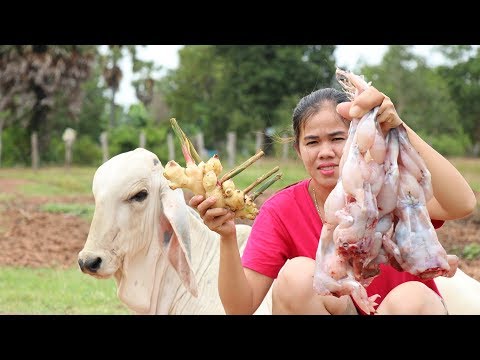 Awesome Cooking Fried Frogs With Ginger Delicious Recipe  -Fried Frog Recipes - Primitive Technology