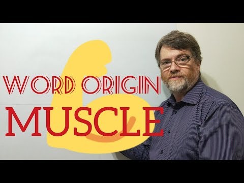 英語家庭教師ニックPワードオリガム(77)マッスル (English Tutor Nick P Word Origims (77) Muscle)