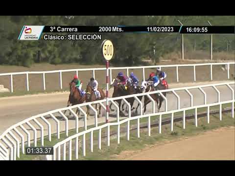 230211 c03 - OLENNA - HIPODROMO LAS PIEDRAS - GRAN PREMIO SELECCION