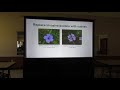 Margate FL Neighbors Meeting Neighbors Butterfly Garden Pt 1