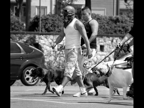 Crazy Karakan, AKA, SDog, 9mm, Malik - Kopfschuss