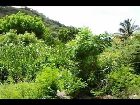 Duverge Dominican Republic, Duverge near Palmar de Ochoa