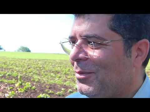 Embajador de la República Islámica de Irán realiza visita de trabajo a Songo La Maya