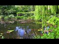 "Fresh Breeze" from PEACEFUL POND by Dean Evenson & d'Rachael