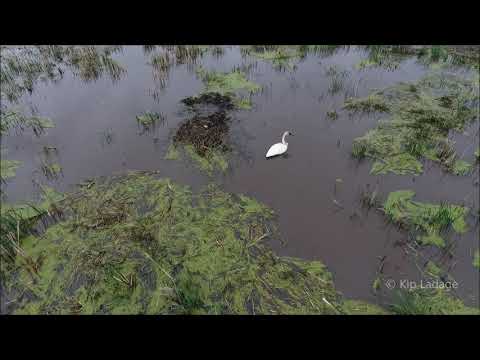 Nature Can Be Cruel - © Kip Ladage